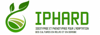 Logo IPHARD