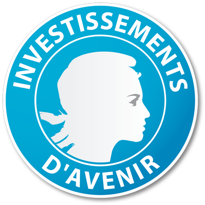 Ministère de l'Enseignement Supérieur, de la Recherche et de l'Innovation - Investissement d'Avenir