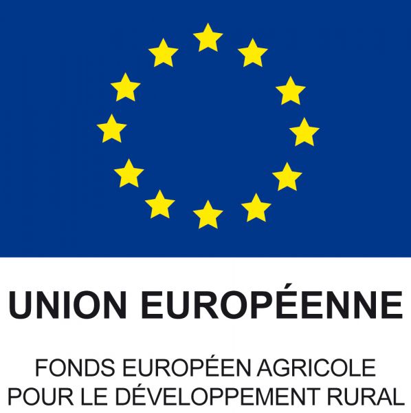 UNION EUROPEENNE - Fond Européen de Développement Régional